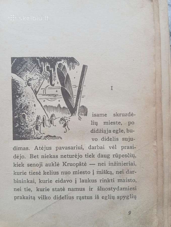 Knyga Skruzdėlytės Greitutės nuotykiai - nuotraukos Nr. 4