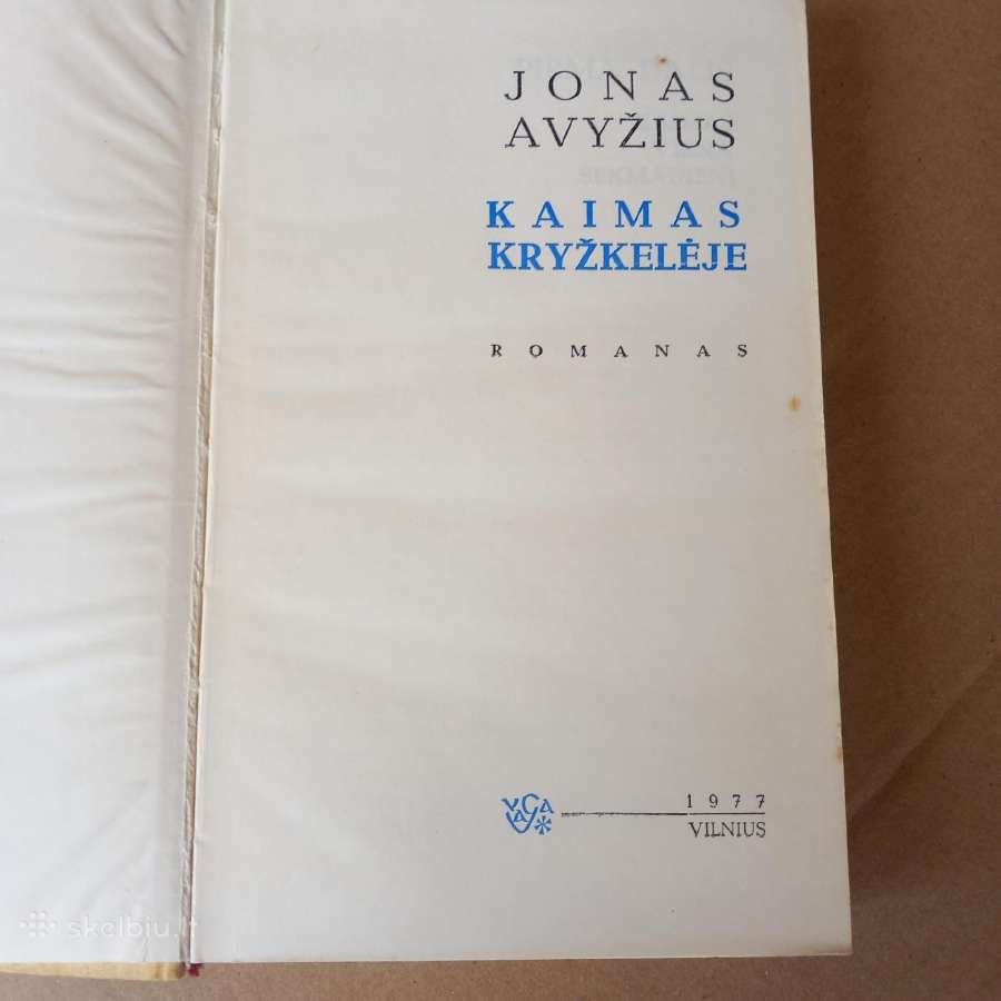 Kaimas kryžkelėje. Jonas Avyžius - nuotraukos Nr. 2