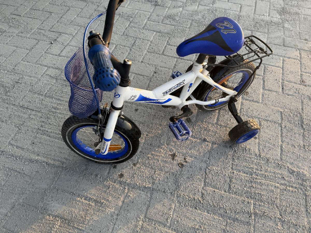 Berniukisas dviratukas