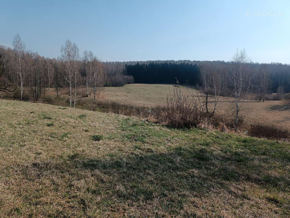 Žemės sklypas Vilkaviškio r. Vištyčio sen. - nuotraukos Nr. 3