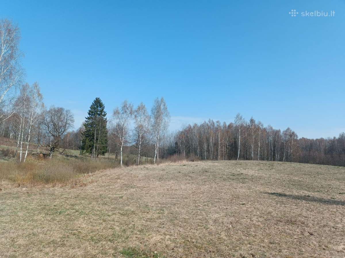 Žemės sklypas Vilkaviškio r. Vištyčio sen. - nuotraukos Nr. 5