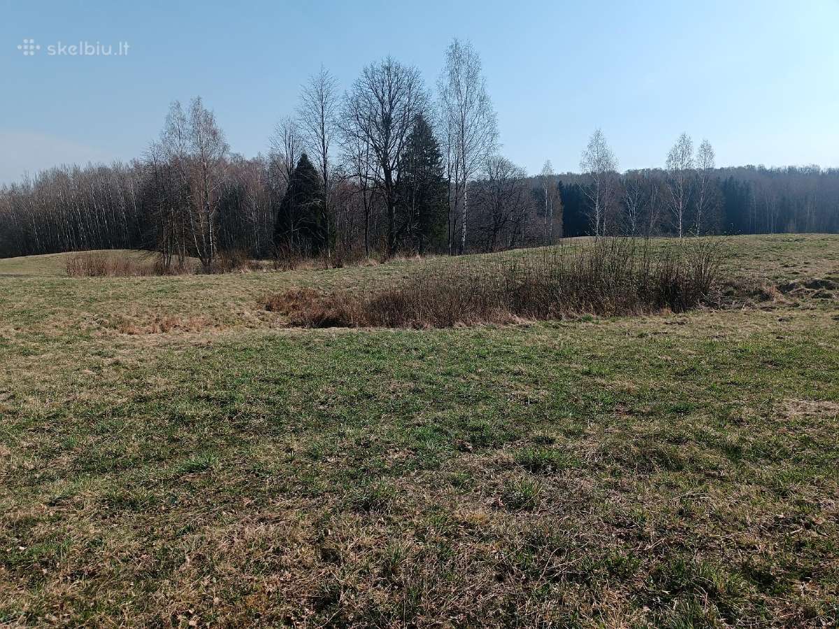 Žemės sklypas Vilkaviškio r. Vištyčio sen. - nuotraukos Nr. 4