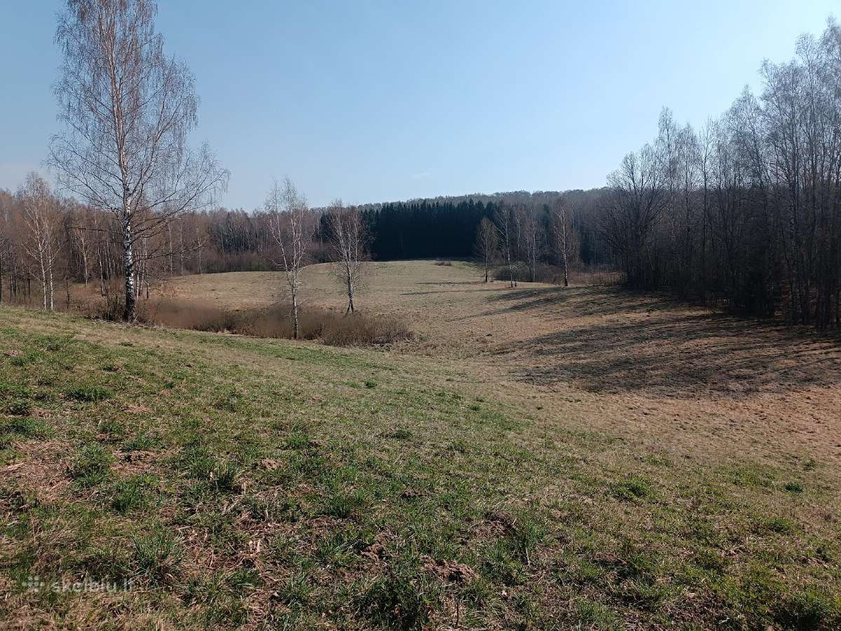 Žemės sklypas Vilkaviškio r. Vištyčio sen. - nuotraukos Nr. 2