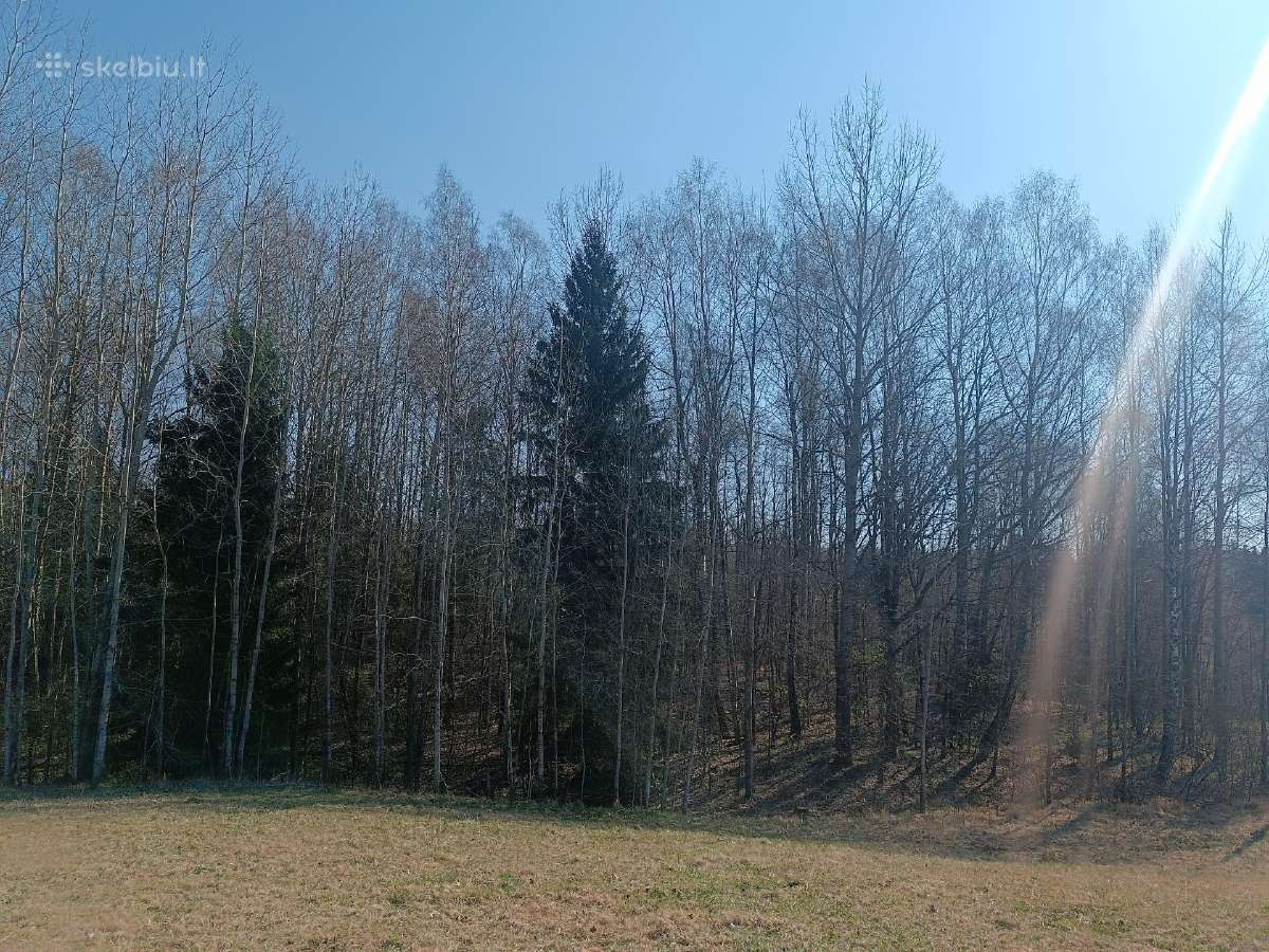 Žemės sklypas Vilkaviškio r. Vištyčio sen. - nuotraukos Nr. 9