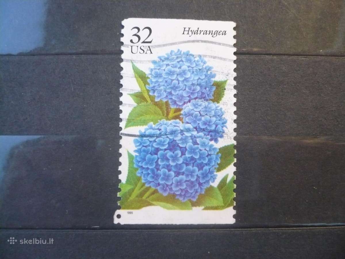 1995 m. sodo gėlės – hortenzija