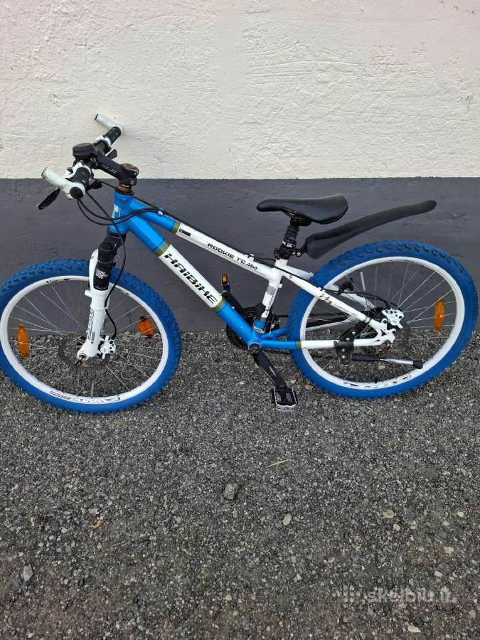 Vaikiškas Haibike Rookie Team