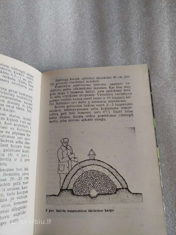 Jaunajam daržininkui - nuotraukos Nr. 5