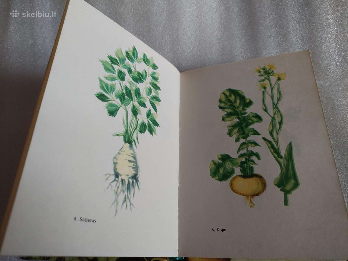 Jaunajam daržininkui - nuotraukos Nr. 6