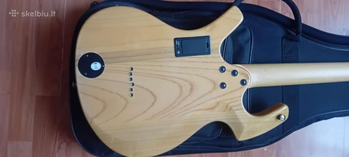 Gitara Parker P-36 . - nuotraukos Nr. 10
