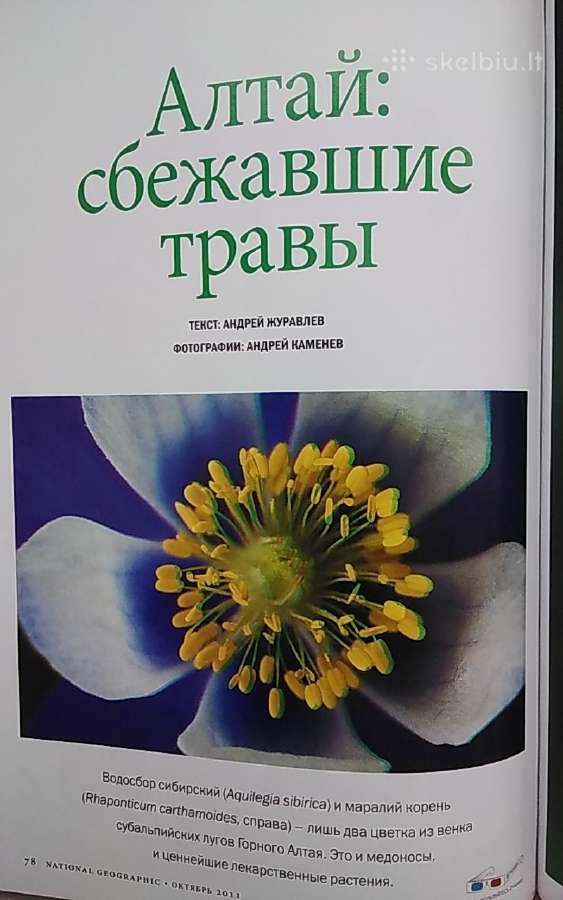 National Geographic spalis 2011 m (stereo numeris) - nuotraukos Nr. 5