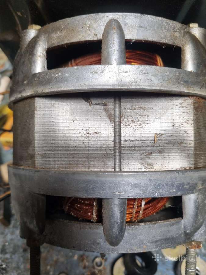 Elektrinis variklis - nuotraukos Nr. 2