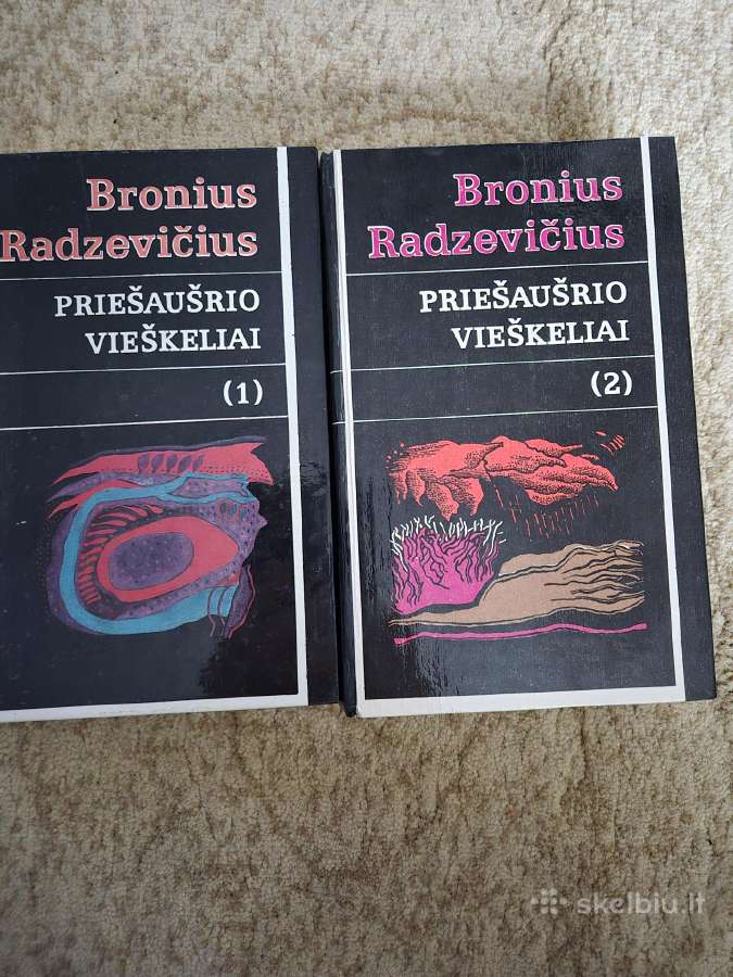 Broniaus Radzevičiaus romanas
