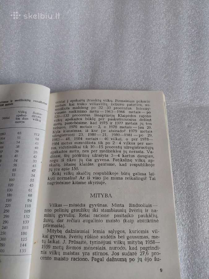 Vilkas - nuotraukos Nr. 3