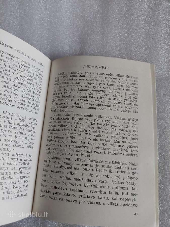 Vilkas - nuotraukos Nr. 5