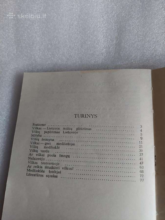 Vilkas - nuotraukos Nr. 6