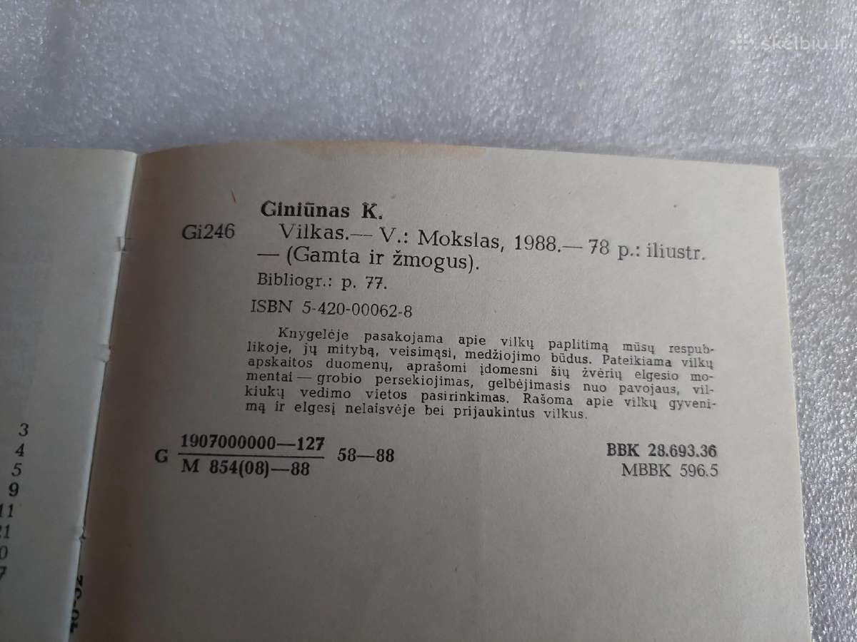 Vilkas - nuotraukos Nr. 7