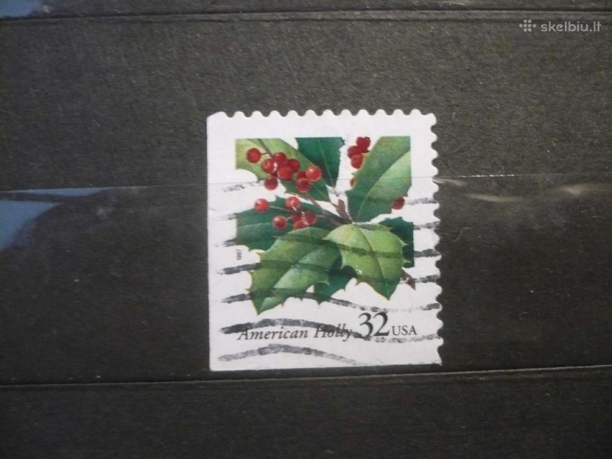 1997 Amerikos Holly