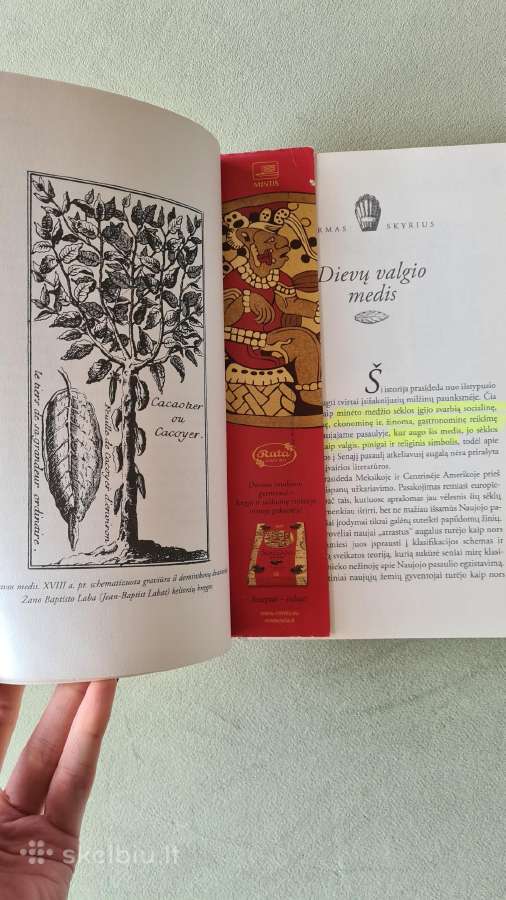 Tikroji šokolado istorija - nuotraukos Nr. 2
