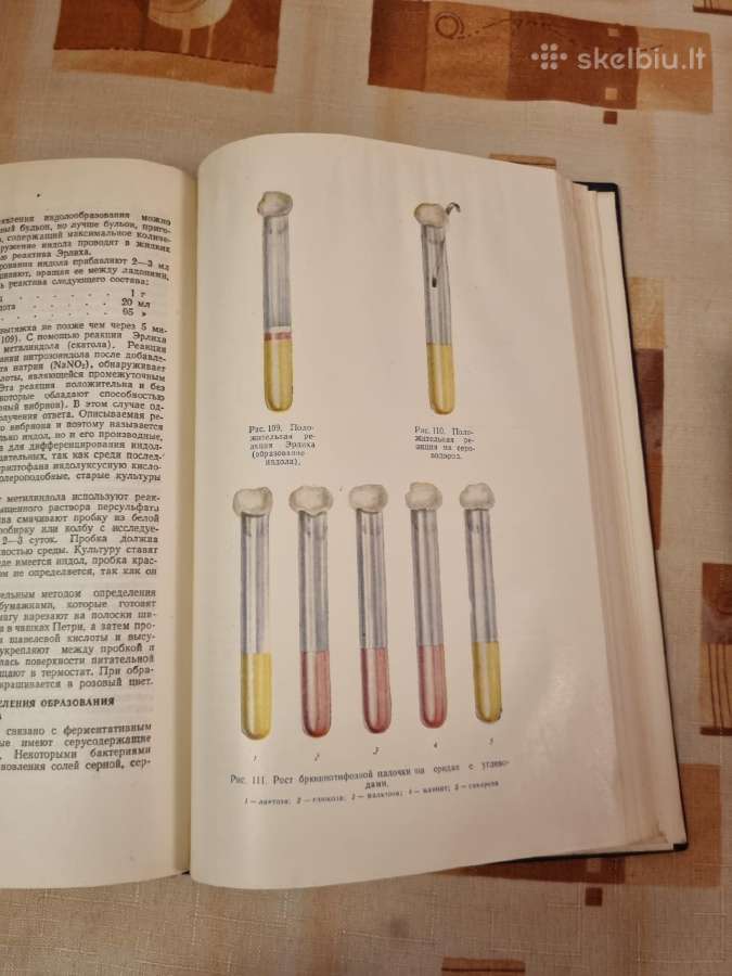Eksperimentinės medicininės bakteriologijos pagrin - nuotraukos Nr. 4