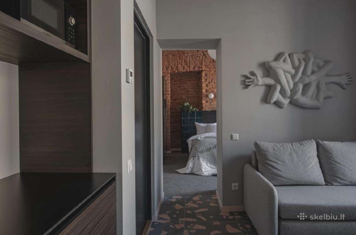 Trumpalaikė apartamentų nuoma - nuotraukos Nr. 12