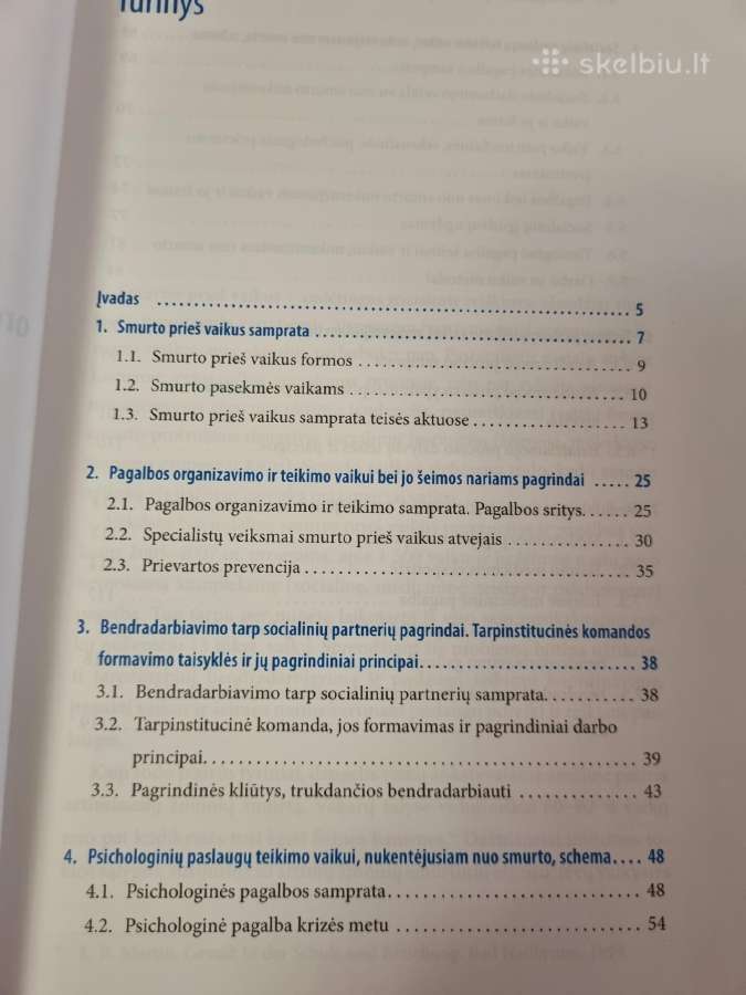 Paslaugų nuo smurto nukentėjusiems vaikams aprašas - nuotraukos Nr. 3