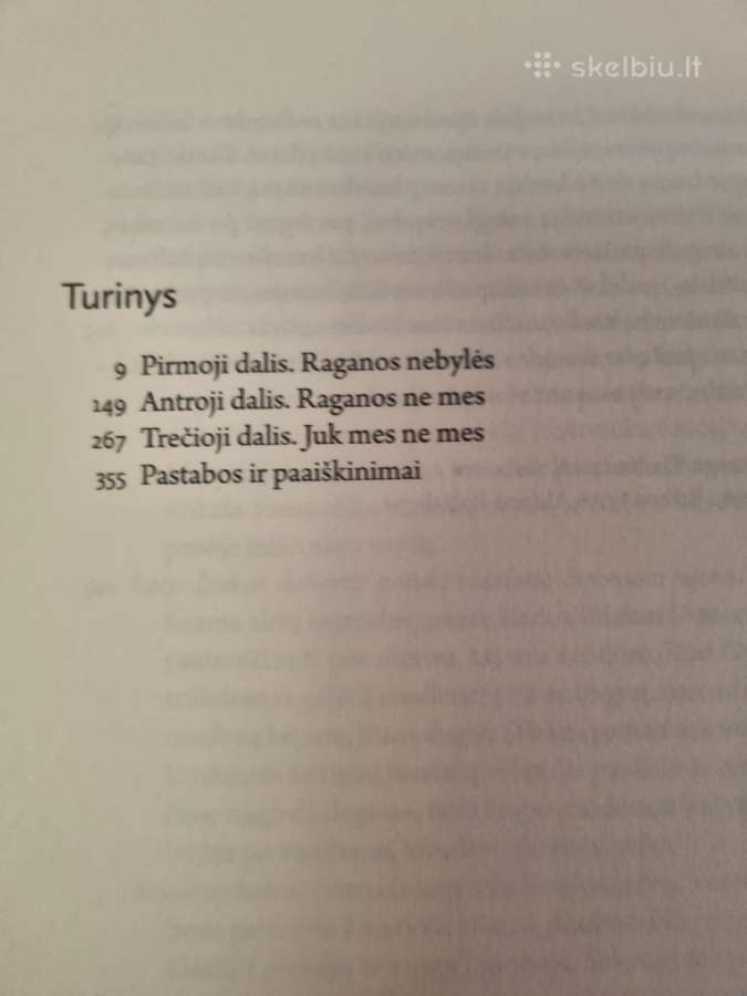 Akmeniniai klevai - nuotraukos Nr. 3