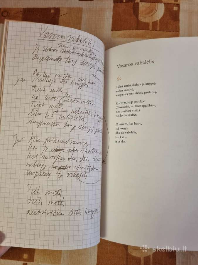 Marcelijus Martinaitis , nenoriu nieko neveikti - nuotraukos Nr. 4