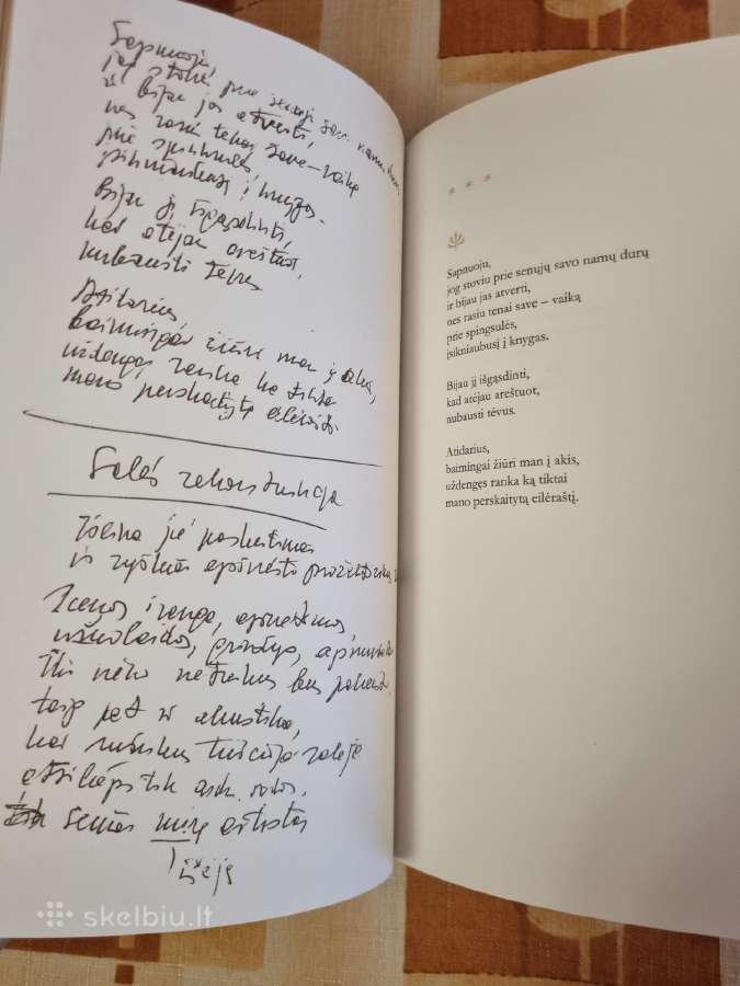 Marcelijus Martinaitis , nenoriu nieko neveikti - nuotraukos Nr. 5