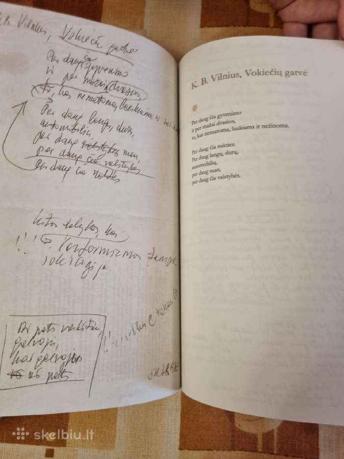 Marcelijus Martinaitis , nenoriu nieko neveikti - nuotraukos Nr. 6