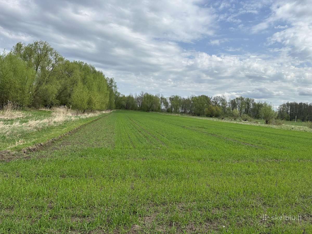 Sklypas Pakalnės k. - nuotraukos Nr. 5