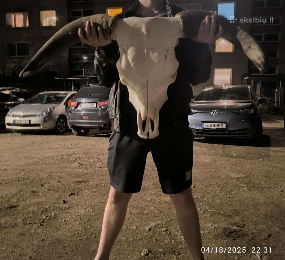 Jaucio kaukuole su ragais