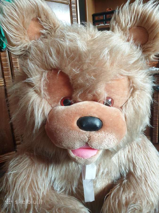Meškinas Tedis