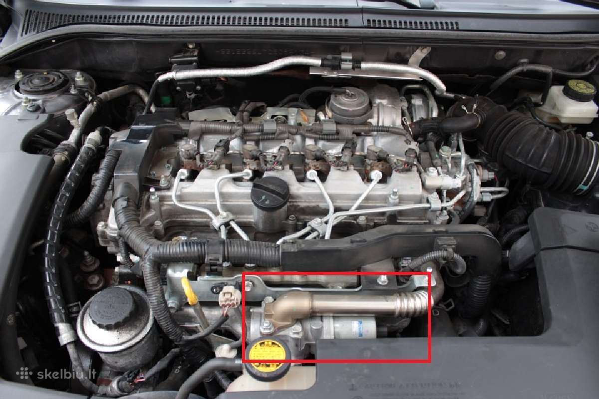 Adblue Dpf Egr programavimas, Dūmingumo matavimas - nuotraukos Nr. 8