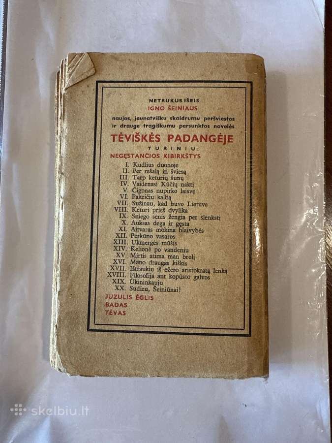 Aš dar kartą grįžtu 1937 m. - nuotraukos Nr. 9