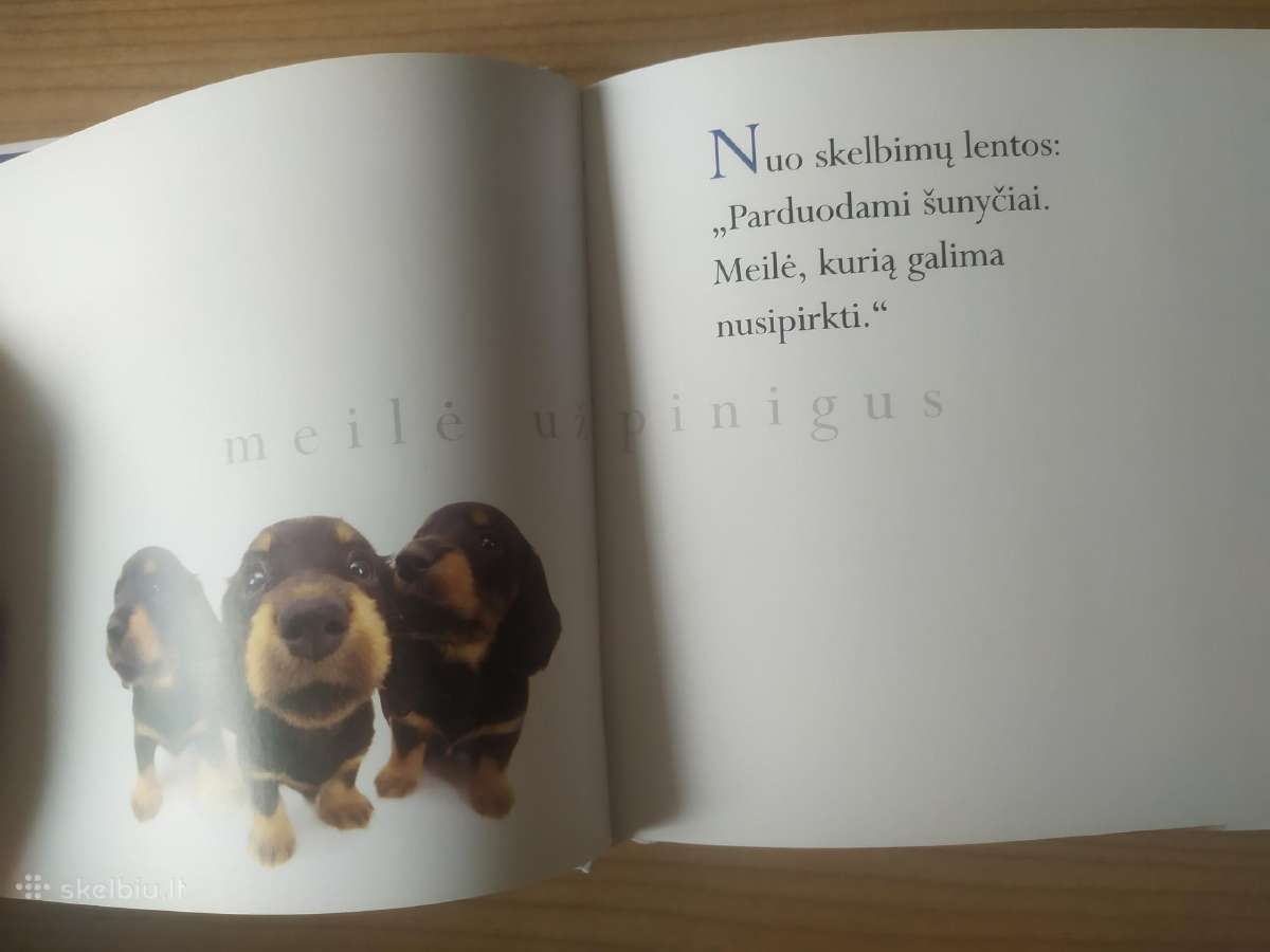 Helen Exley "Mūsų ištikimieji šunys" - nuotraukos Nr. 6