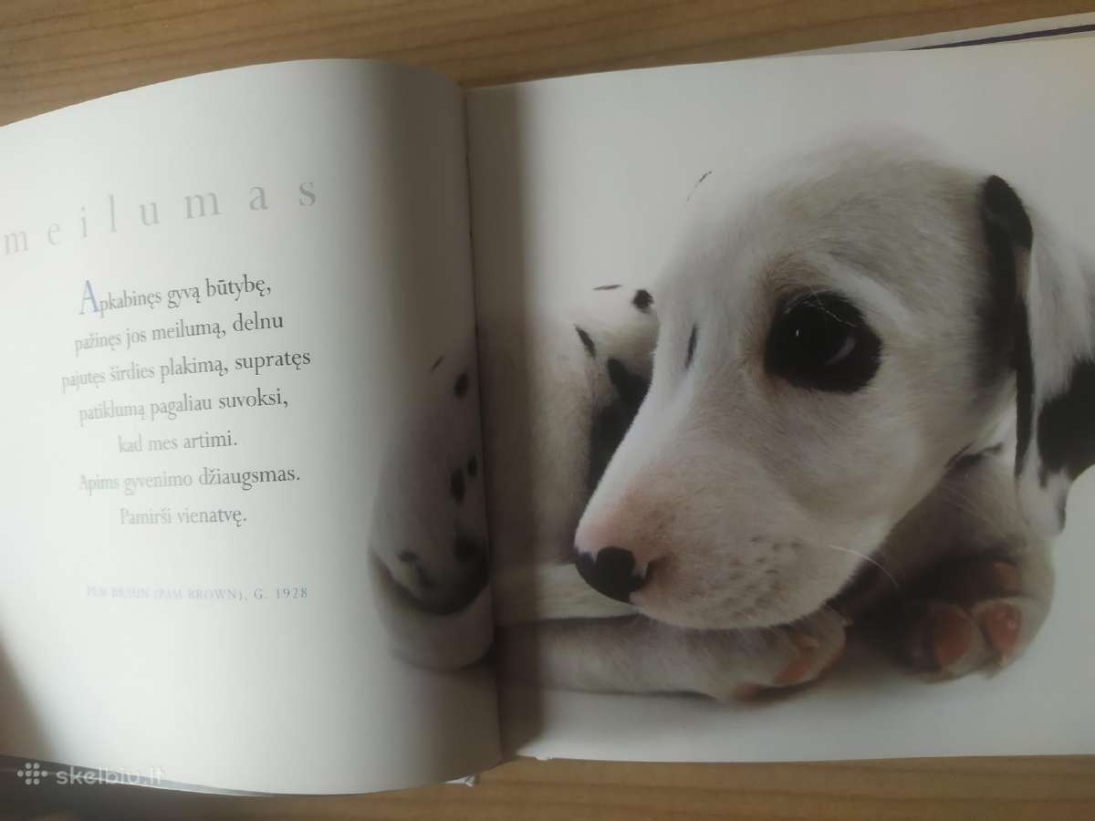 Helen Exley "Mūsų ištikimieji šunys" - nuotraukos Nr. 7