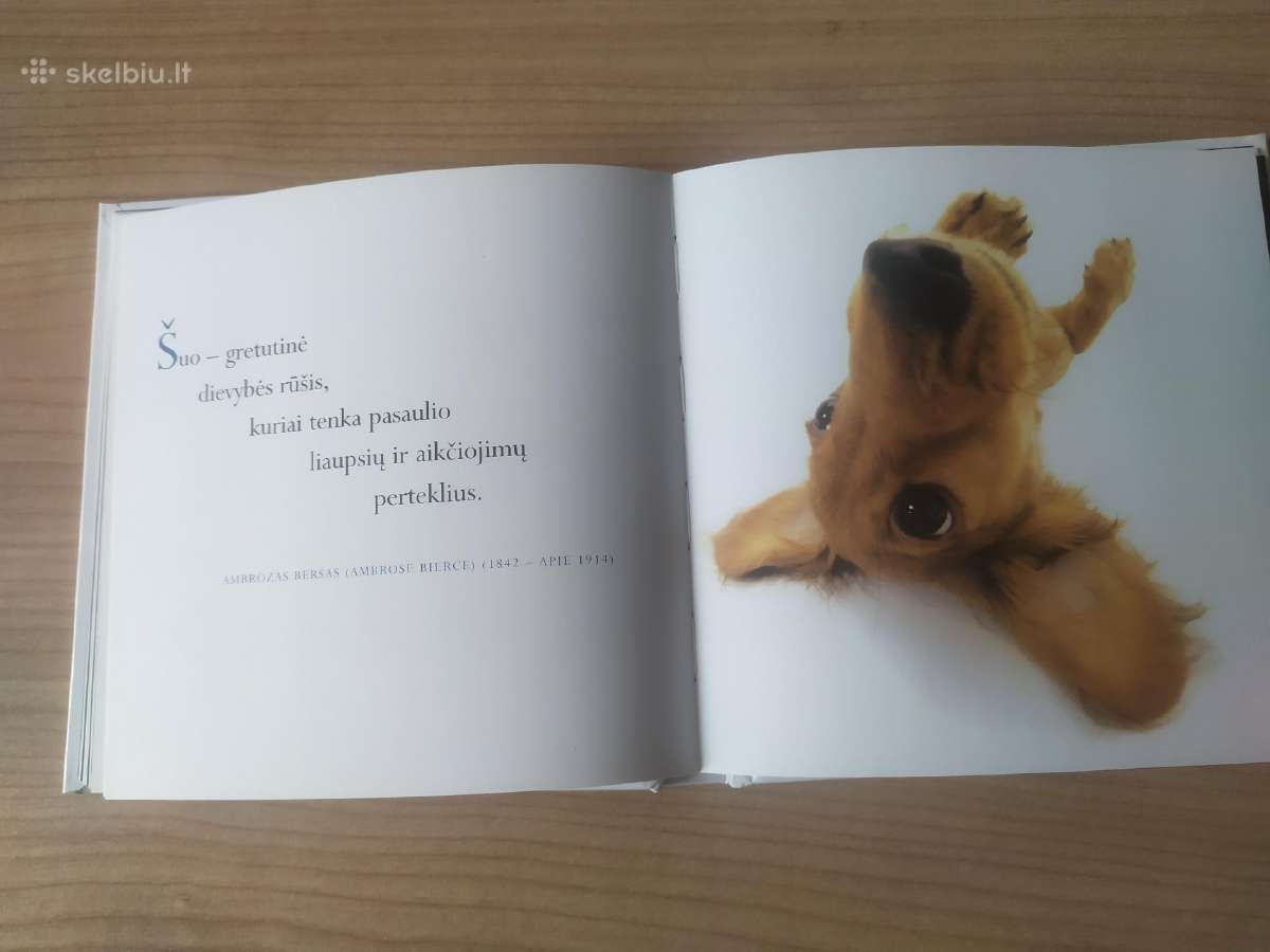 Helen Exley "Mūsų ištikimieji šunys" - nuotraukos Nr. 8