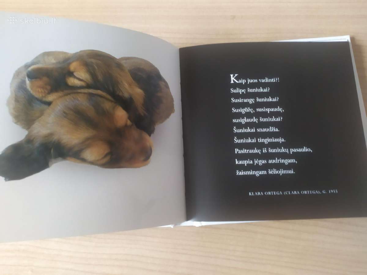 Helen Exley "Mūsų ištikimieji šunys" - nuotraukos Nr. 9