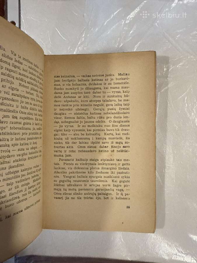 Kiemėnų kaimas 1943 m. - nuotraukos Nr. 5