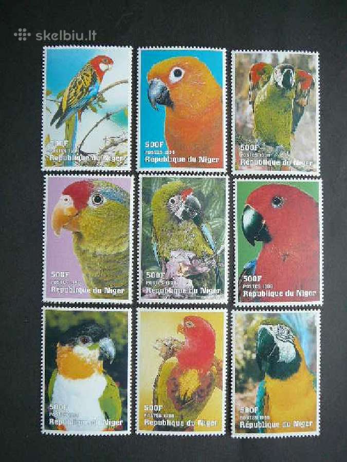 Papugos Pauksciai Nigerija 1998 svarus ng68