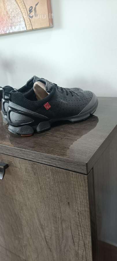 Ecco Biom - nuotraukos Nr. 2