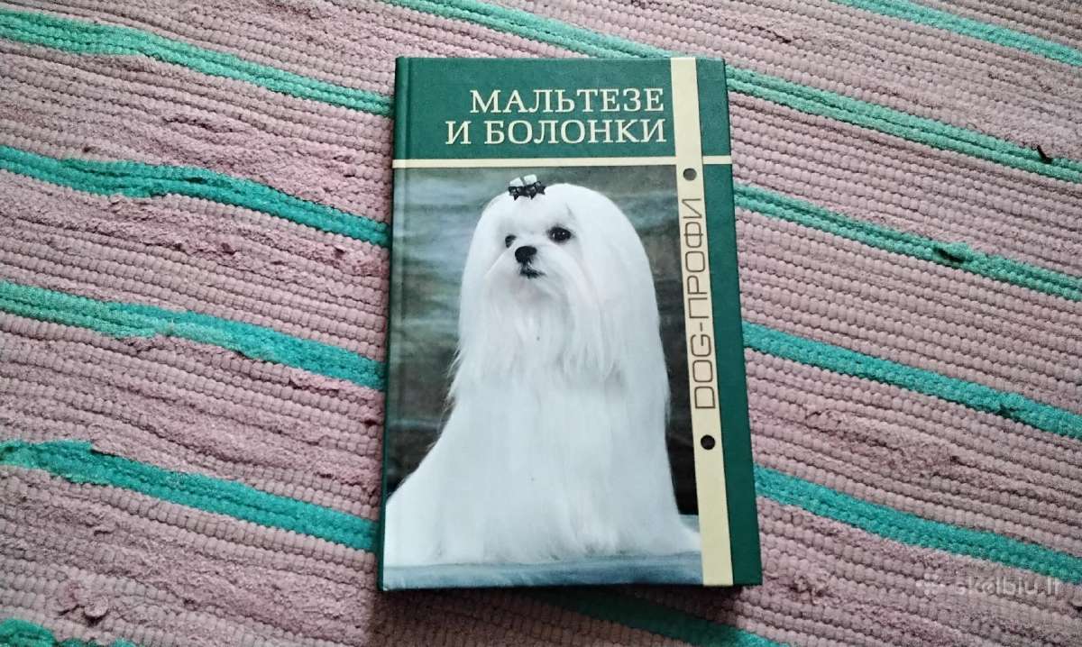 Mūsų augintiniai мальтезе и болонки dog - профи