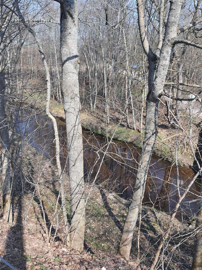 Galimas Keitimas. Sodyba ant upės šlaito - nuotraukos Nr. 6