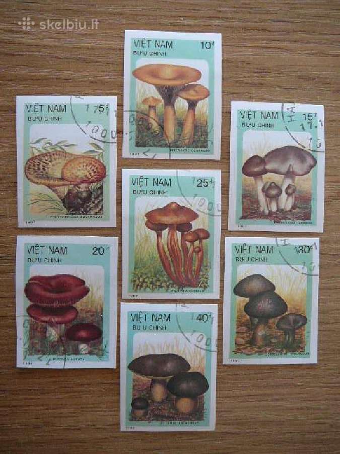 Grybai Vietnamas 1987 antsp. vt26b