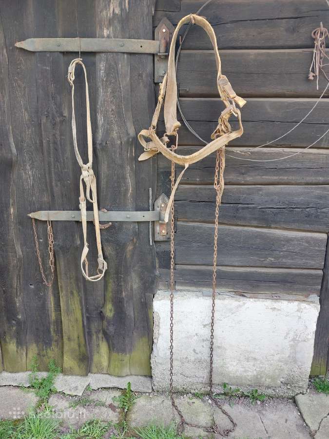 Akėčios, plugas, arklio pakinktai. - nuotraukos Nr. 4