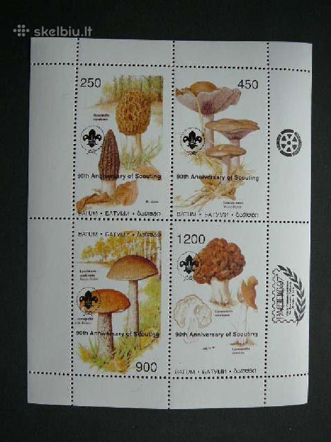 Grybai Skautai Batumis 1997 Mnh bm46s