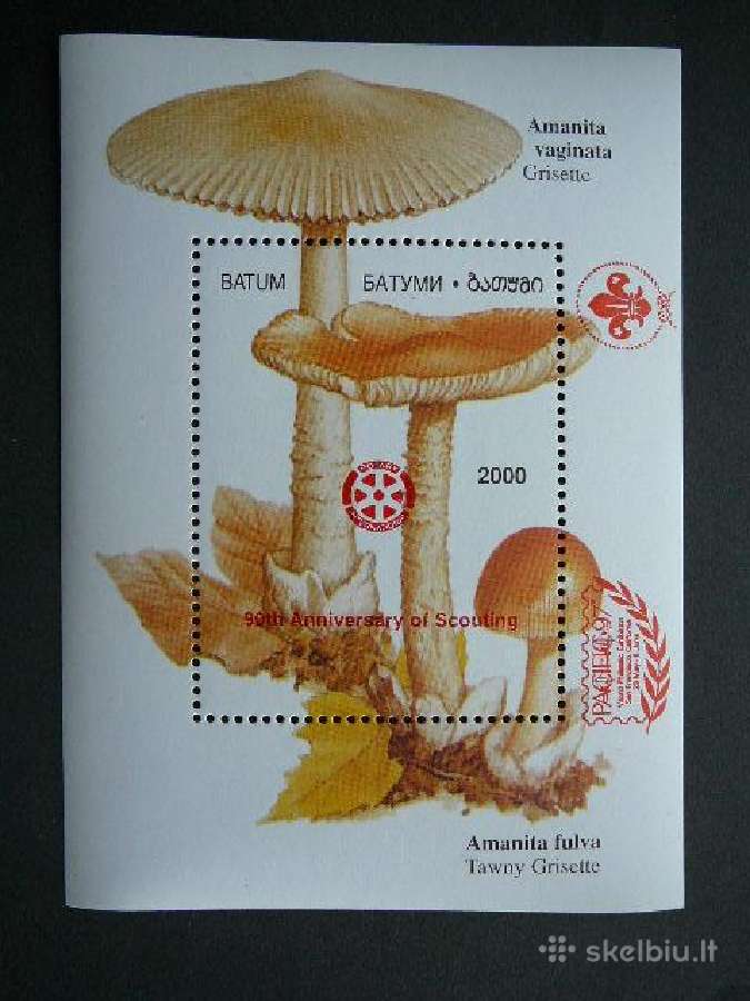 Grybai Skautai Batumis 2000 Mnh bm97r