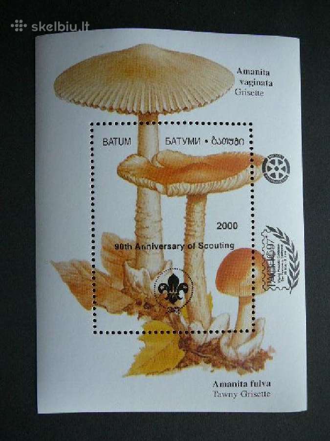 Grybai Skautai Batumis 2000 Mnh bm48j