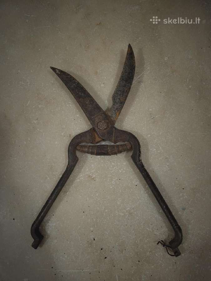 Antikvarines žirklės skardai