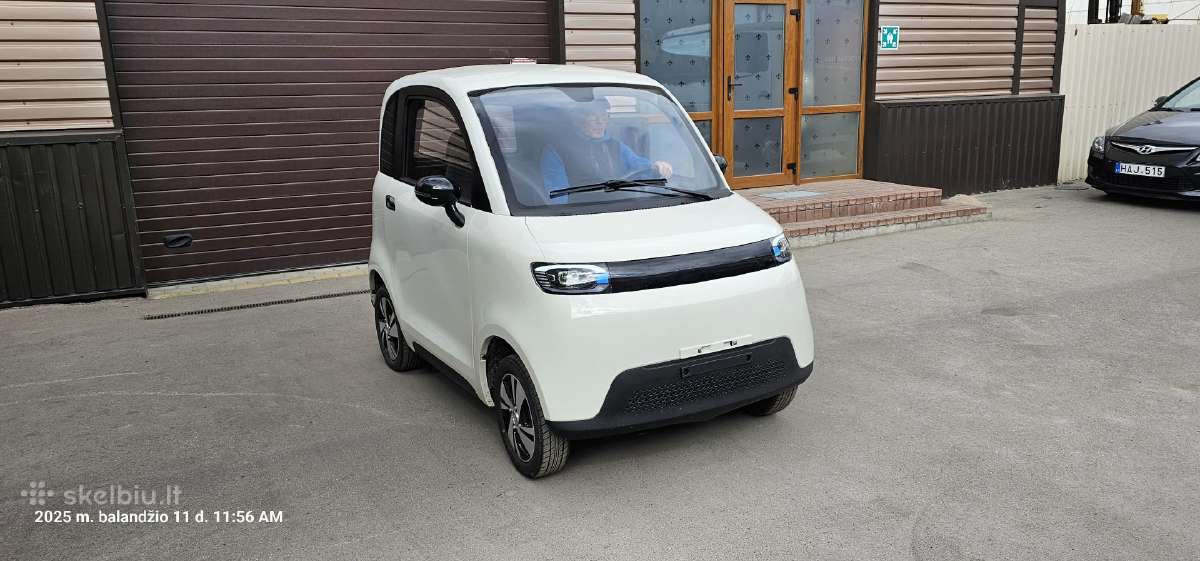 Elektrinis automobilis